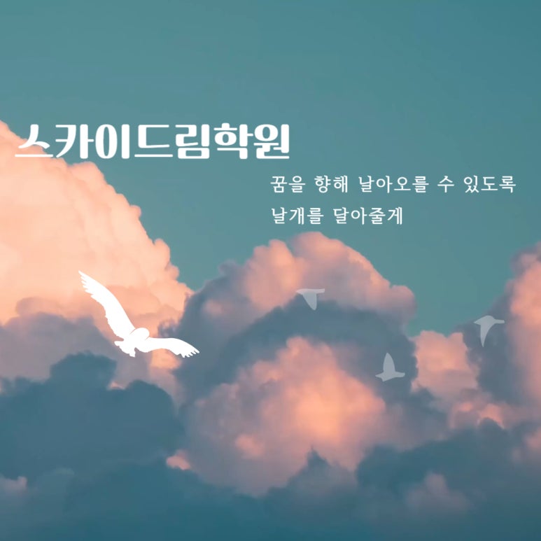 스카이드림 이미지