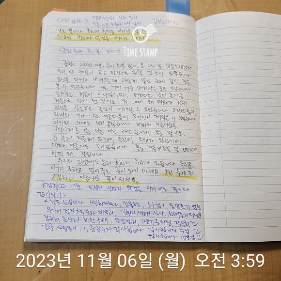 미사청과 이미지