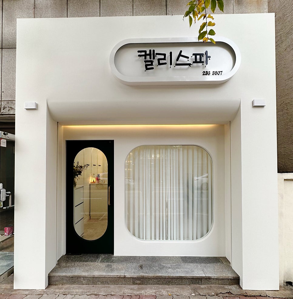 켈리스파 이미지