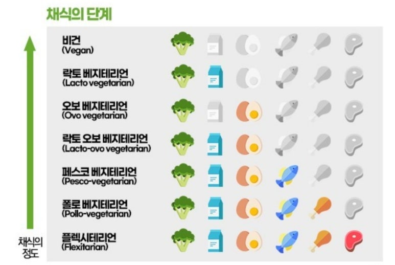 굿모닝샐리 이미지