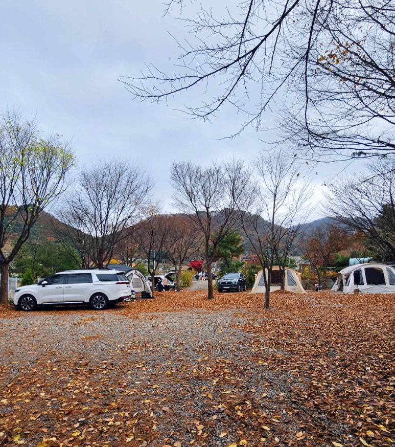 들꽃여울캠핑장 이미지