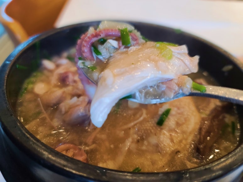황제메밀 이미지