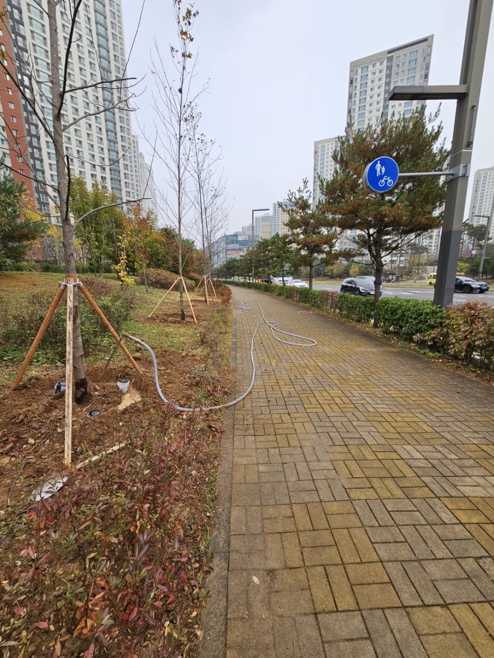 동탄살수 이미지