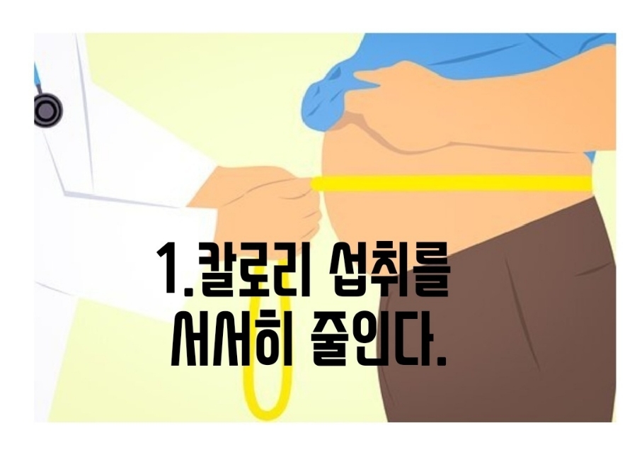 핫점핑다이어트 이미지