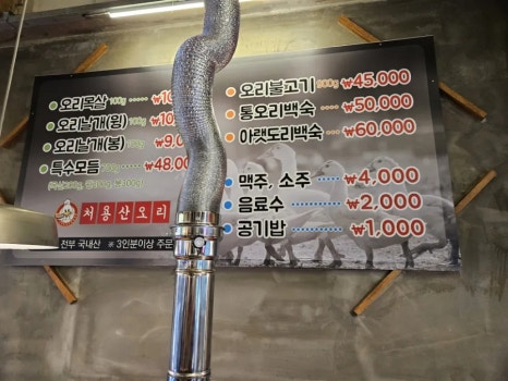 처용산오리 이미지