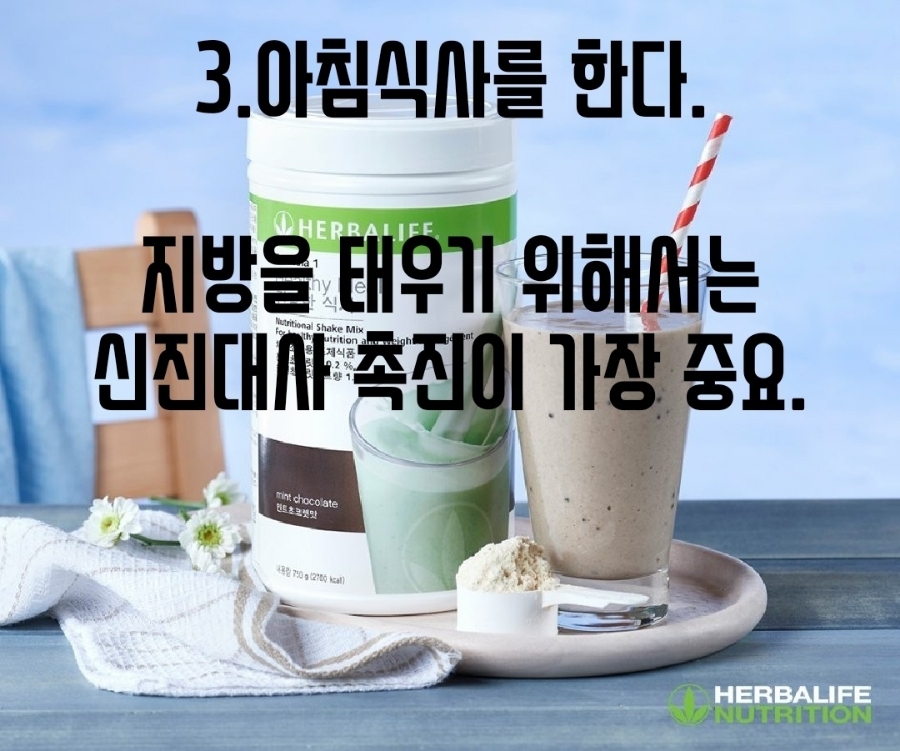 핫점핑다이어트 이미지