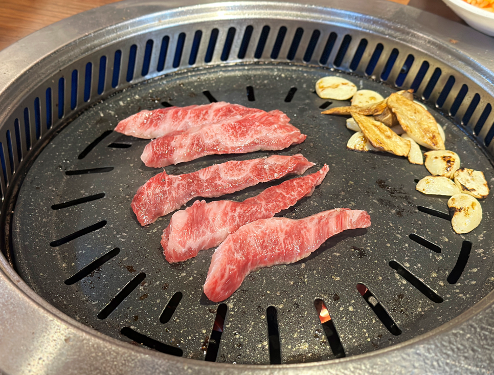 동일생고기 이미지