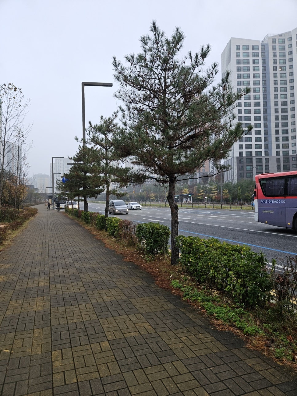 동탄살수 이미지