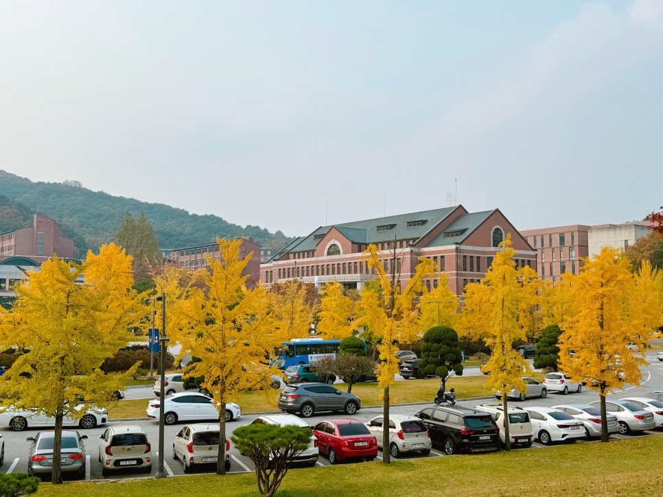 연세대학교 미래캠퍼스 이미지