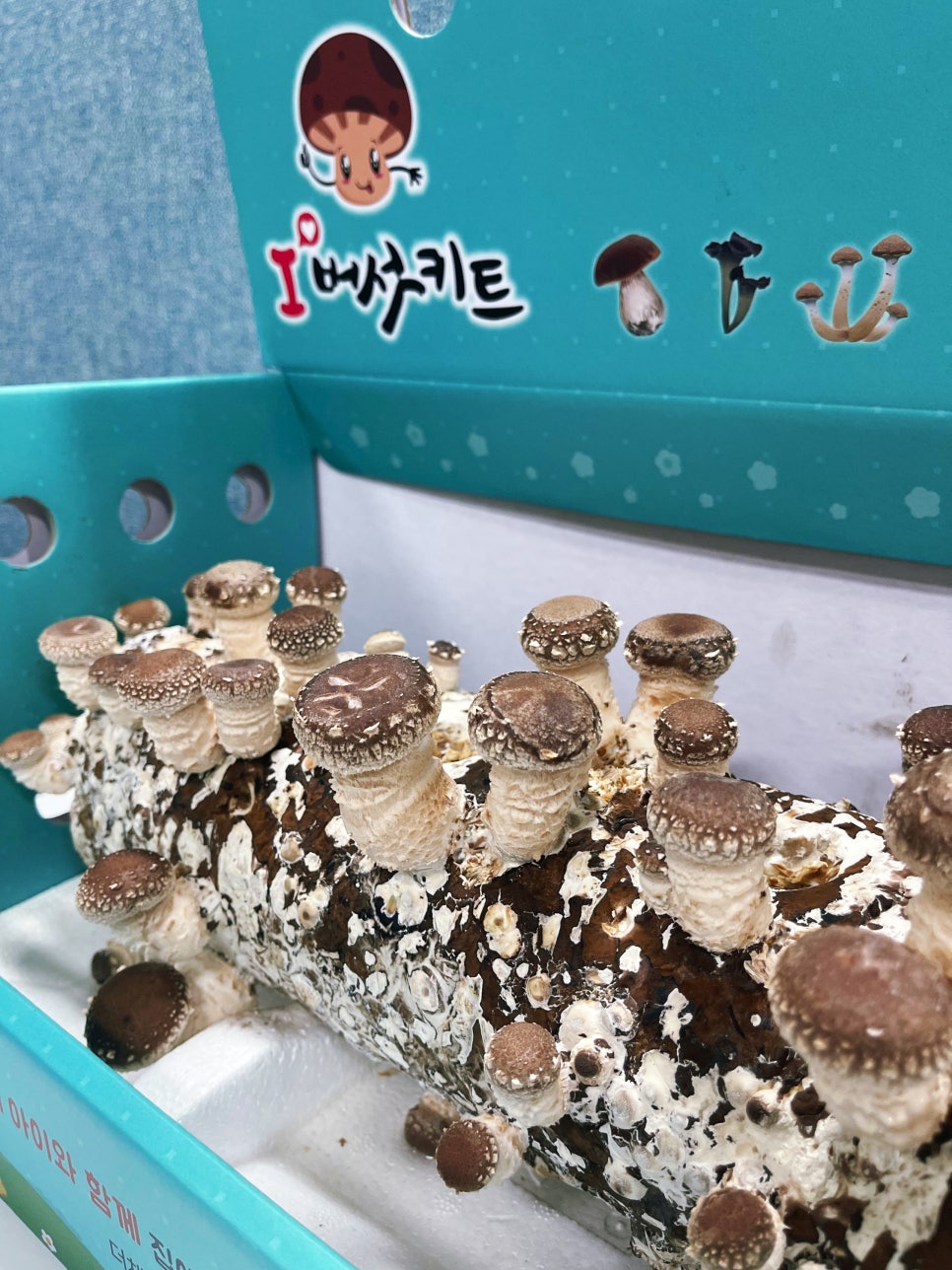 오늘더채움 이미지