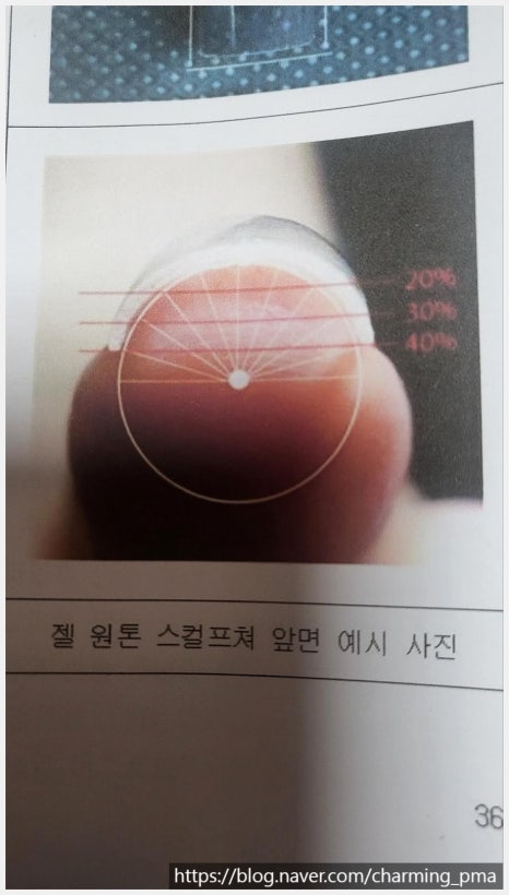 주네일 이미지