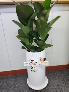 웰떡볶이 이미지