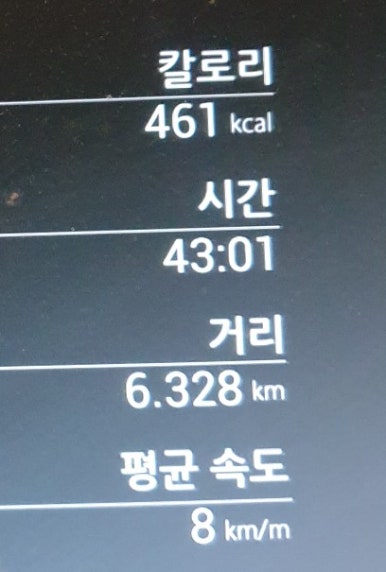 백조세탁 이미지