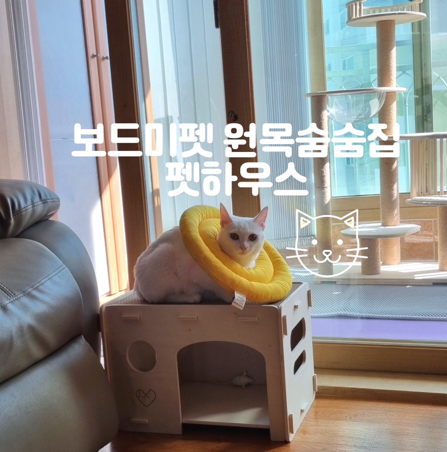 보드미펫 이미지