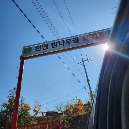 천안밤나무골가족캠핑농원 이미지