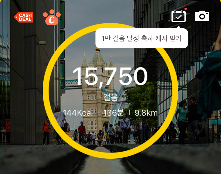바다에빠진조개 이미지