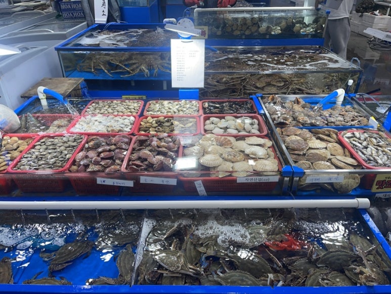 태광수산 이미지