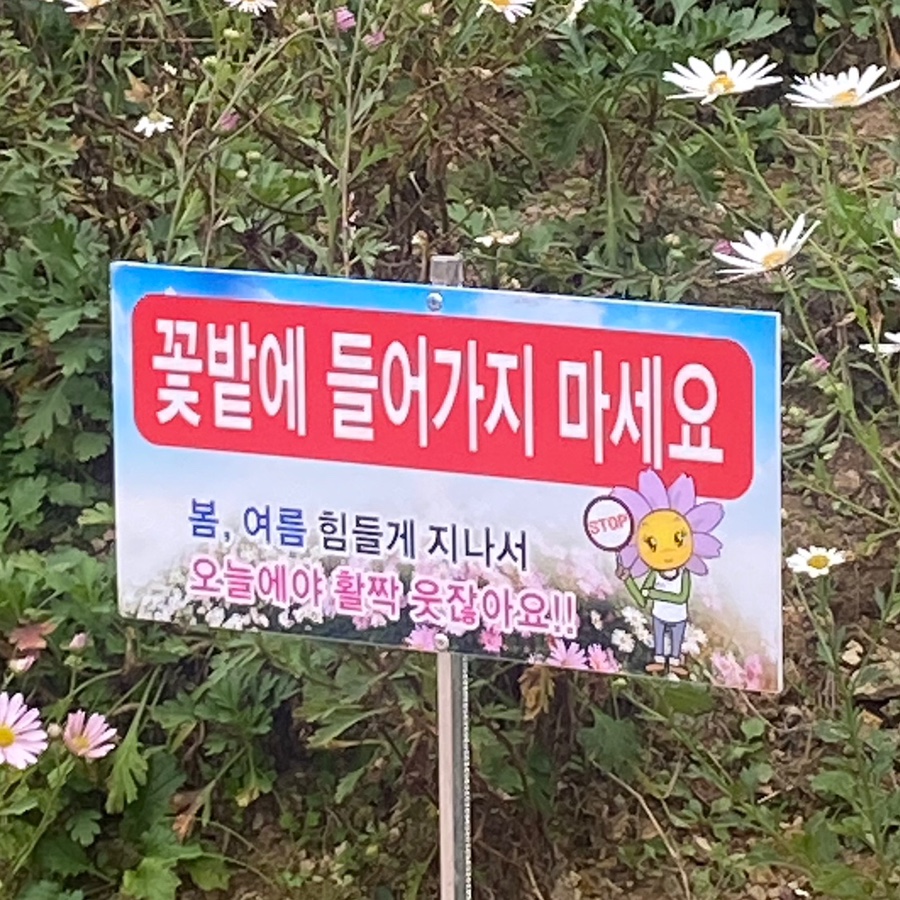 원평소머리국밥 이미지