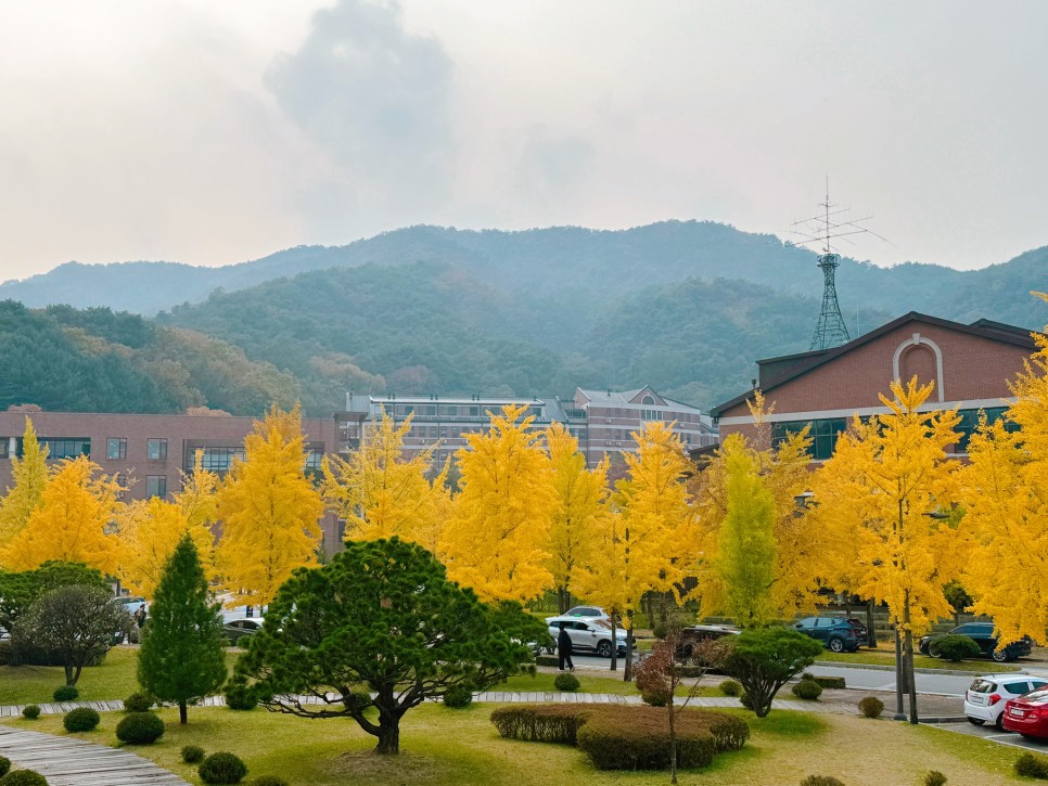 연세대학교 미래캠퍼스 이미지