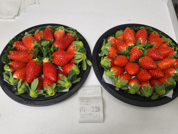 꿀맛과수원 이미지
