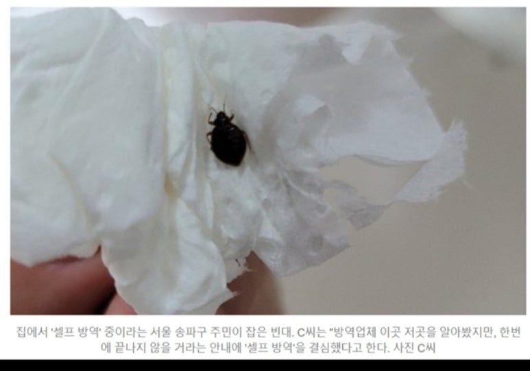 트리지움치과의원 이미지
