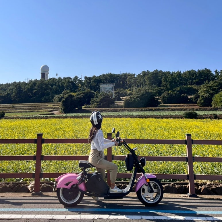 수월봉전기바이크 이미지