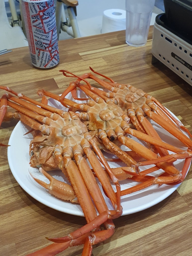디우리 이미지