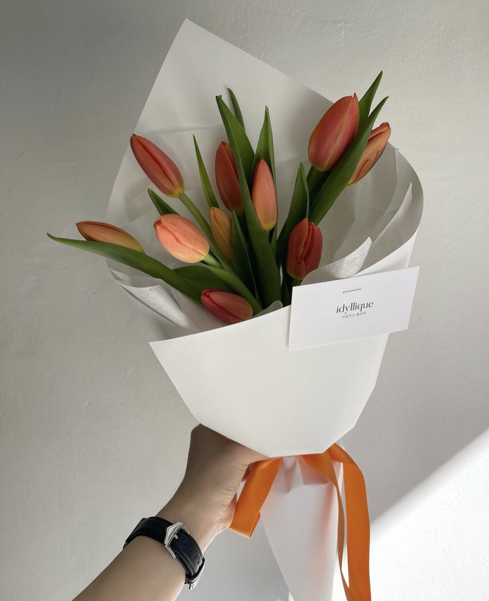이딜리크 이미지