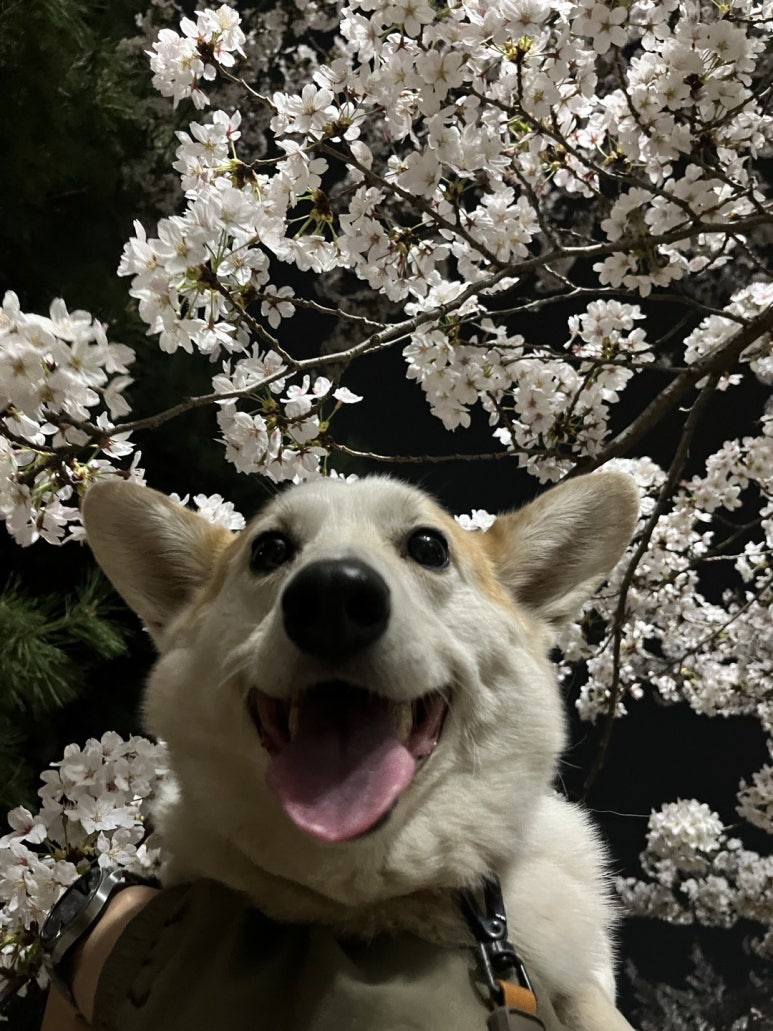경인당 이미지