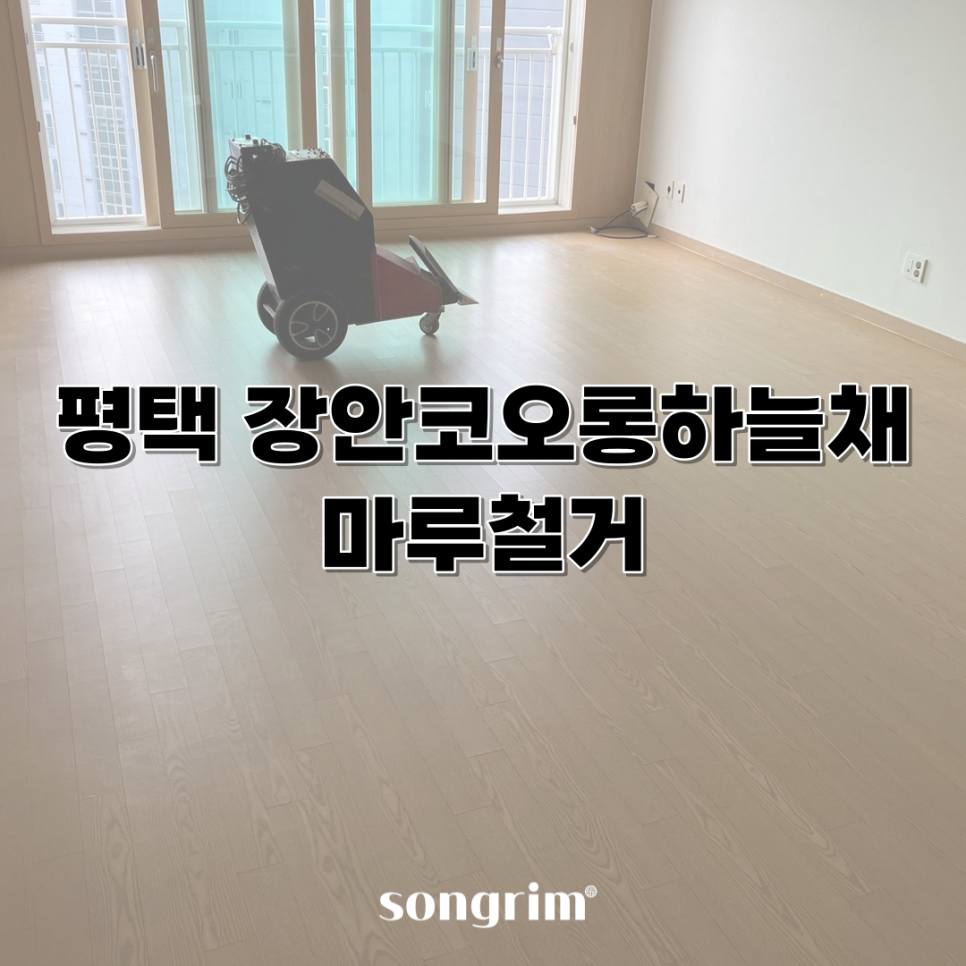 송림경기지사 이미지