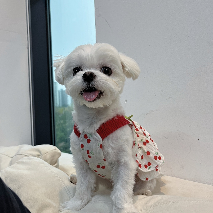 춘옥이네 이미지