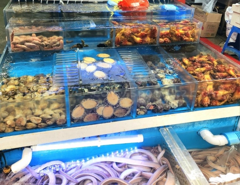 자갈치숯불곰장어 이미지