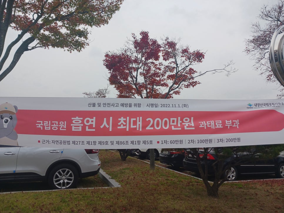 내장산캠핑카 이미지