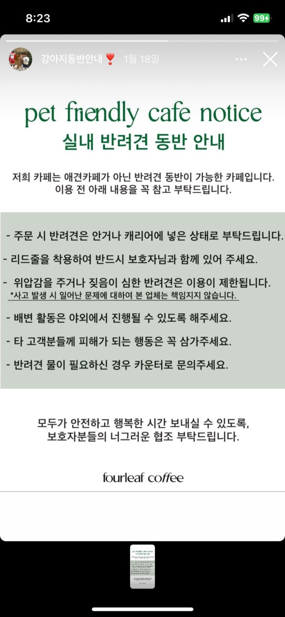 포리프 이미지