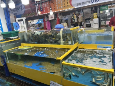 평택종합수산 이미지