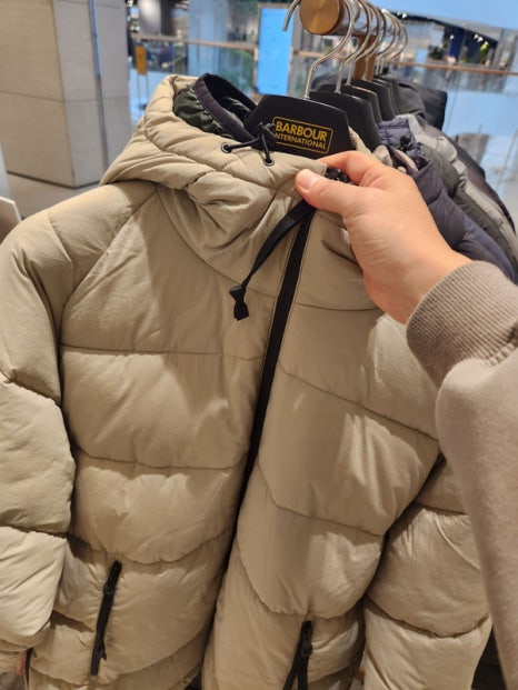 여우멋내기 이미지