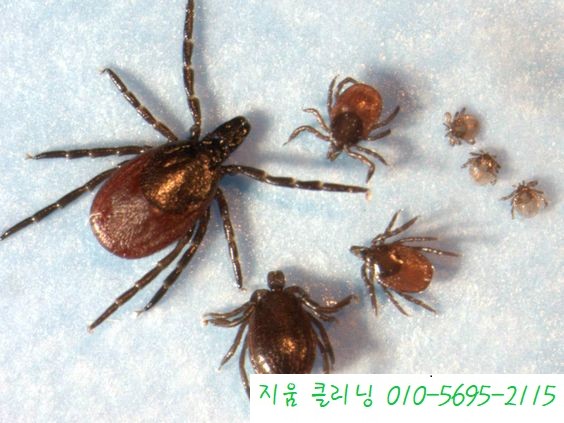 지움 청주점 이미지