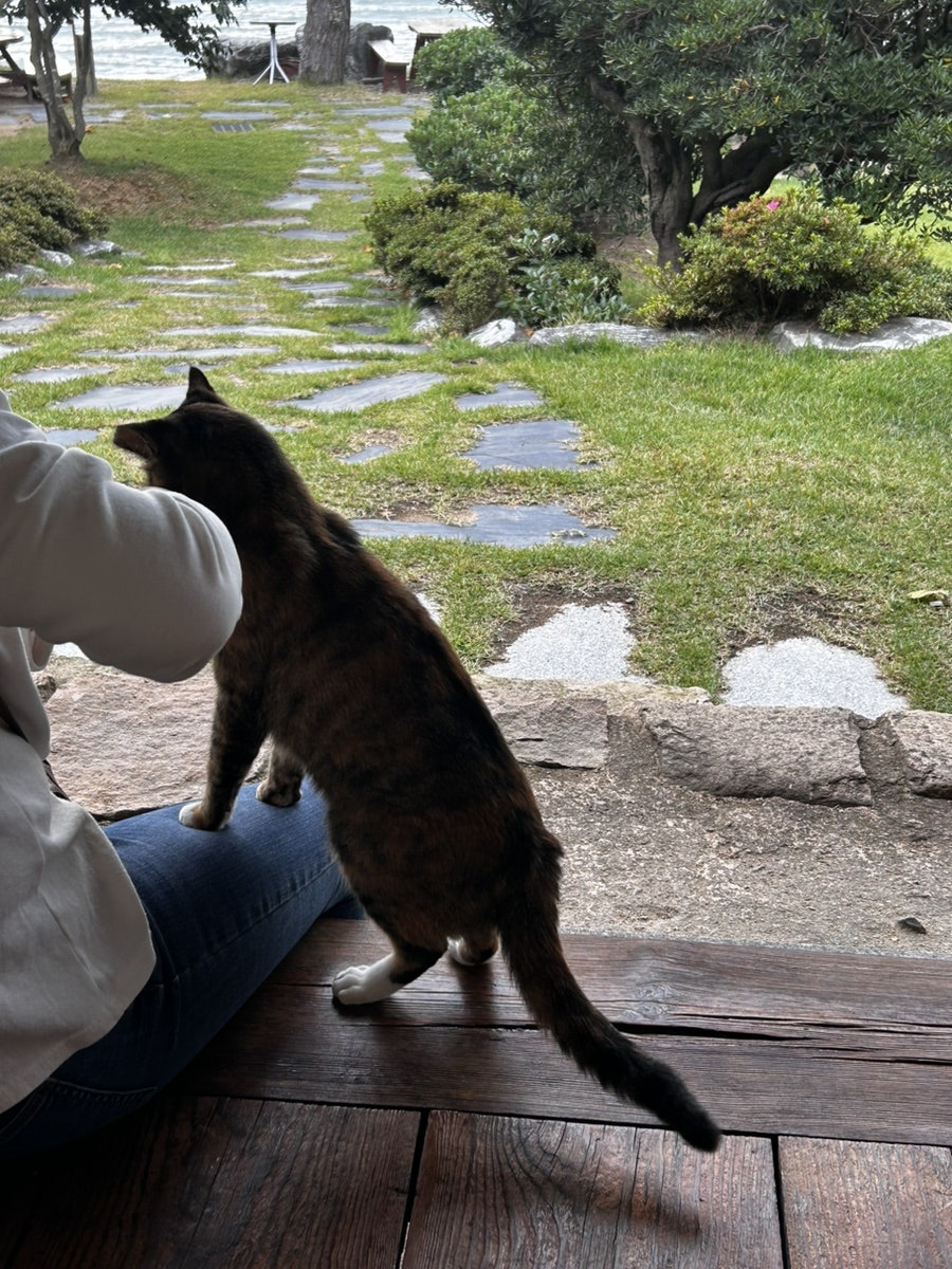 삼학민박 이미지