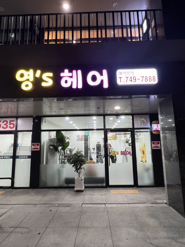 영's헤어 이미지