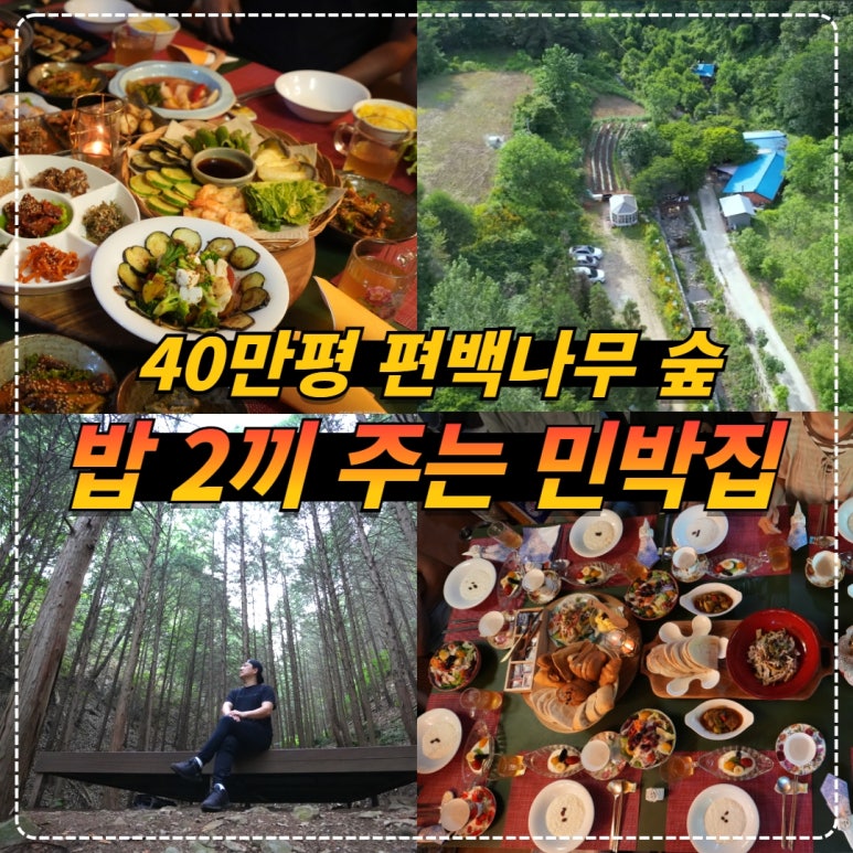 편백나무숲펜션 이미지