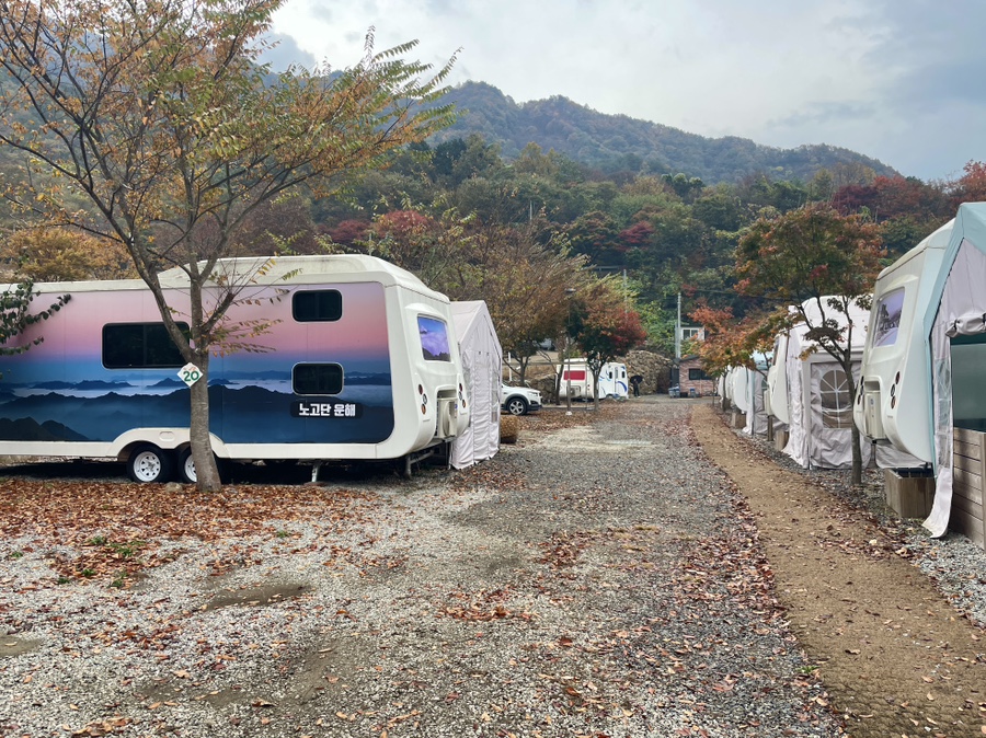 포레스트카라반파크 이미지