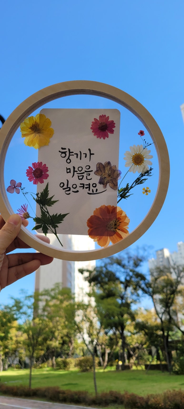 모그숨 이미지