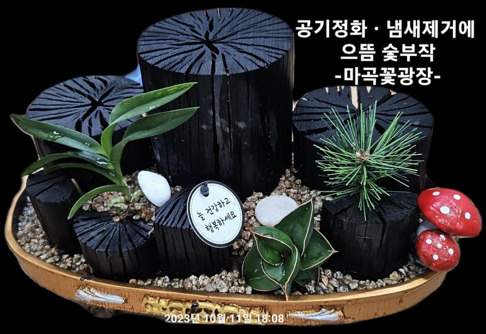 마곡꽃광장 이미지