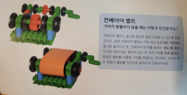 벨트야놀자 이미지