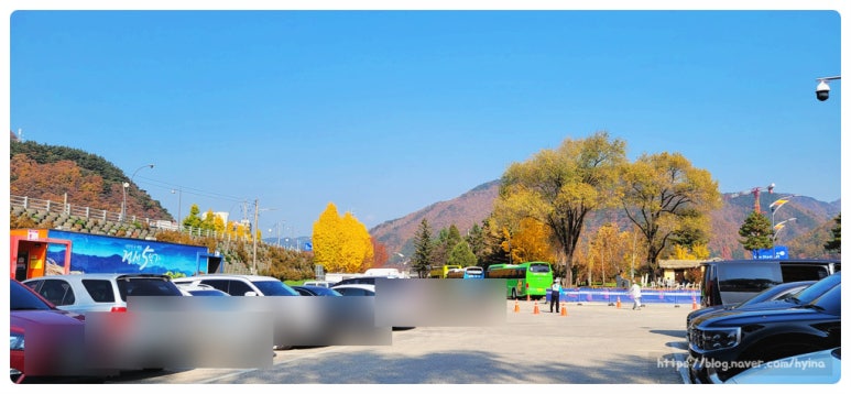 콰스타커피정선아라리점 이미지