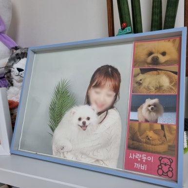 강씨네사진관 이미지