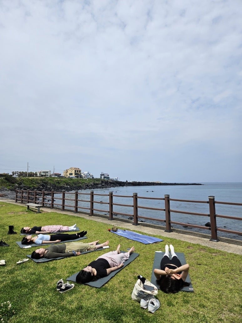 제주890 이미지