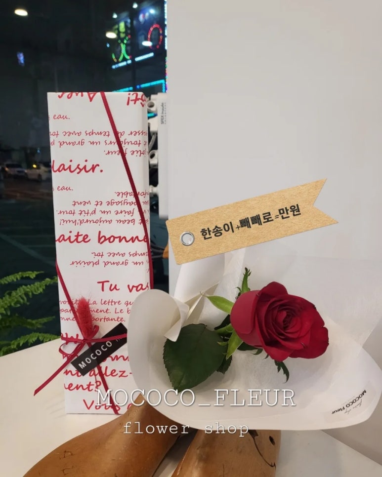 모코코플레르 이미지