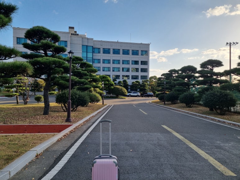 송일관 이미지