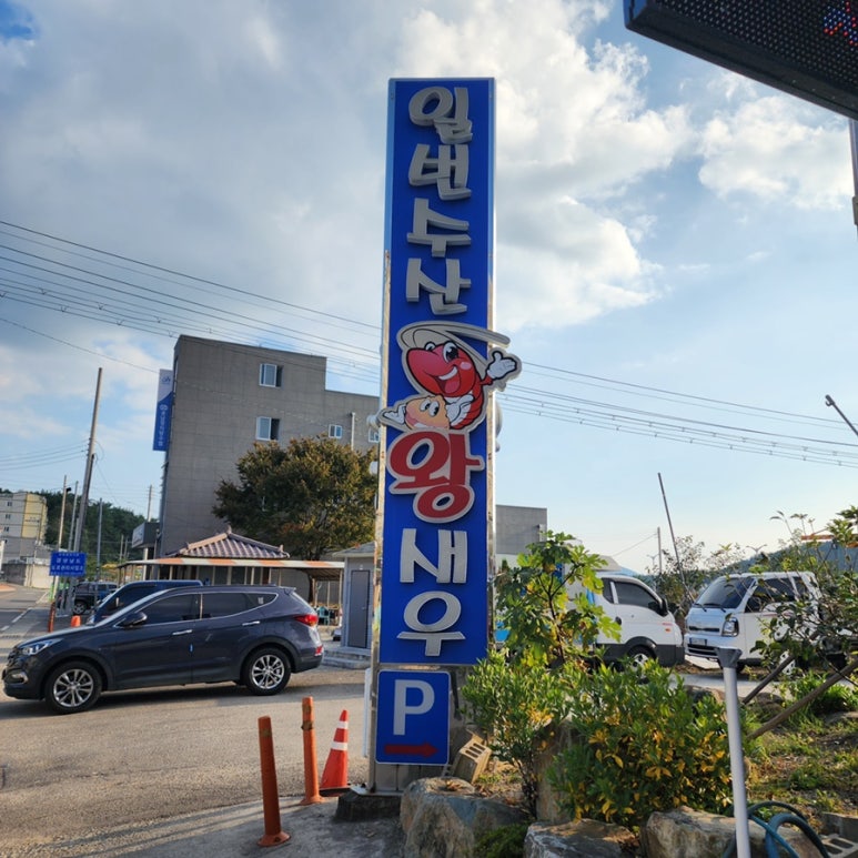 둘리수산 이미지